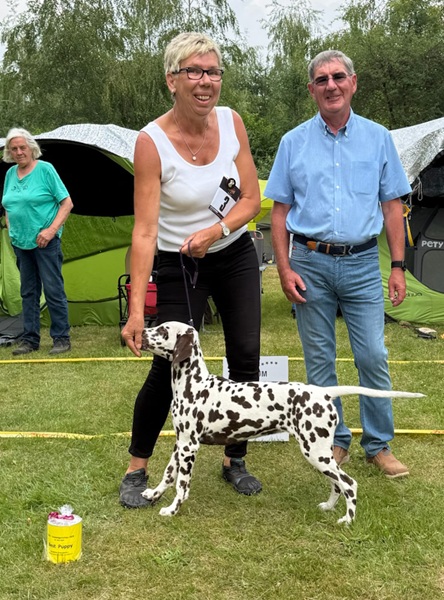 2026_5. Best Puppy_2026_Allie von der Rheinlandaue.jpg